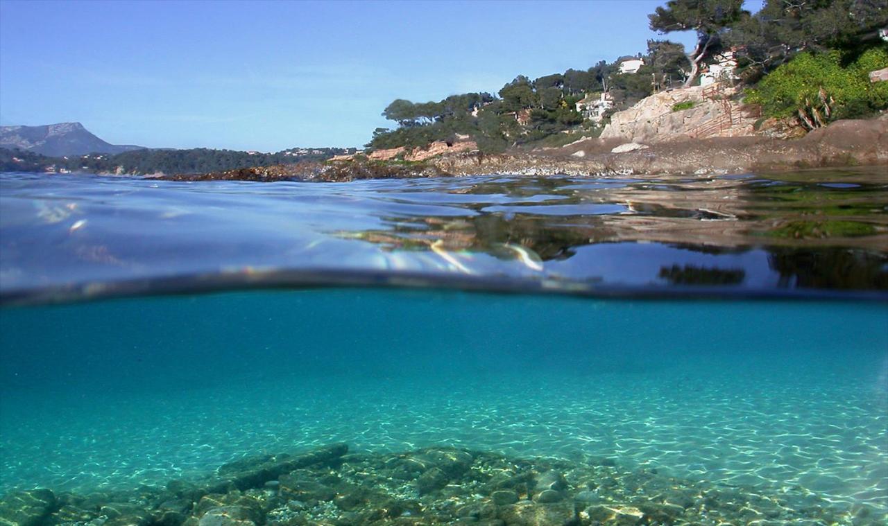 Magnifique Petit Cocon Bord De Mer Le Pradet Bagian luar foto