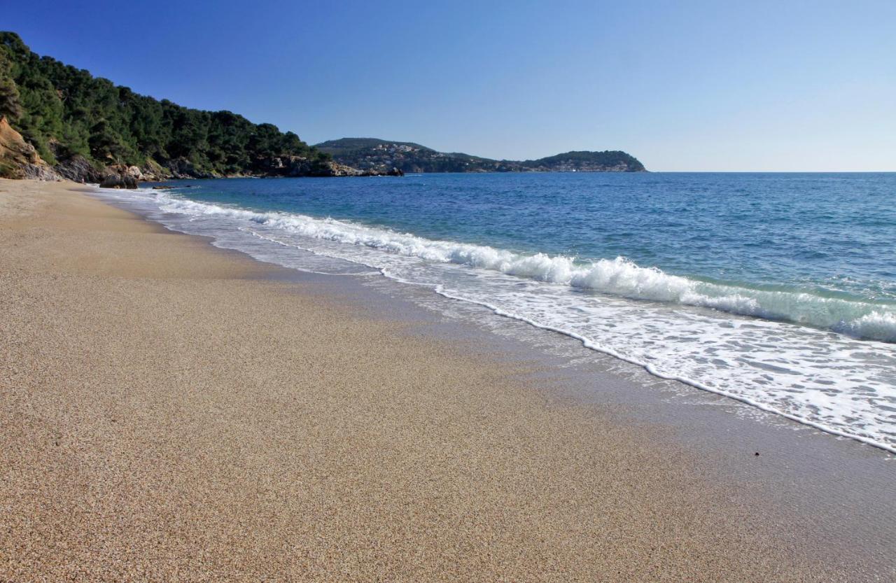 Magnifique Petit Cocon Bord De Mer Le Pradet Bagian luar foto