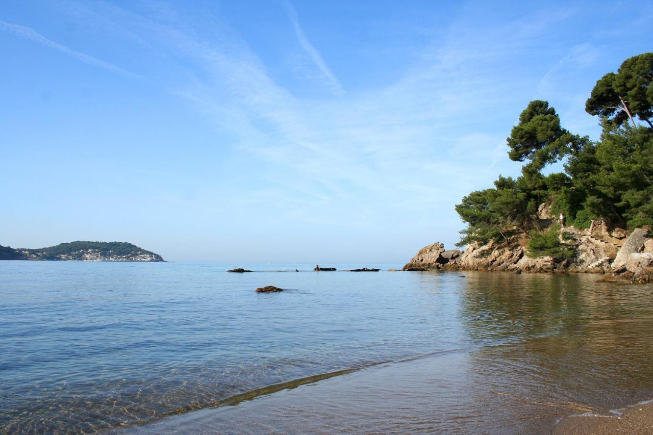 Magnifique Petit Cocon Bord De Mer Le Pradet Bagian luar foto